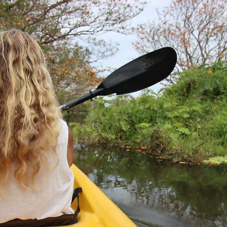 ホテル La Sirenita - Ometepe Altagracia エクステリア 写真