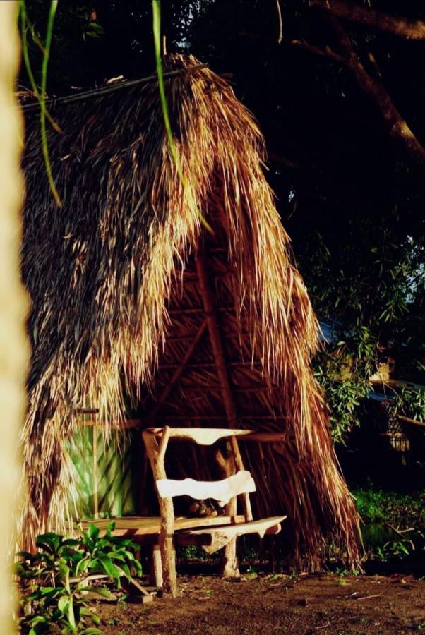 ホテル La Sirenita - Ometepe Altagracia エクステリア 写真