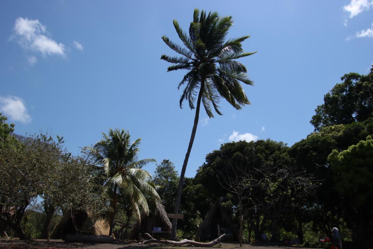 ホテル La Sirenita - Ometepe Altagracia エクステリア 写真