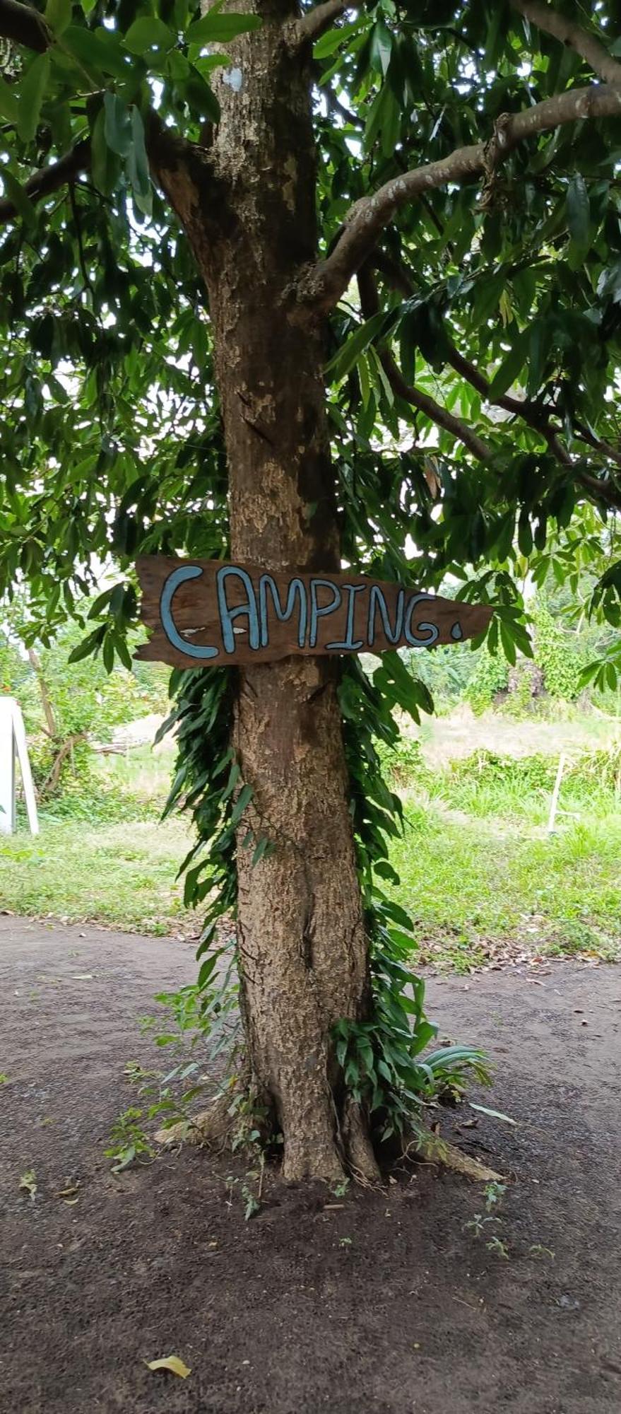 ホテル La Sirenita - Ometepe Altagracia エクステリア 写真